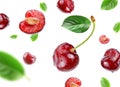 Red cherry with water drops flying in the air stream Royalty Free Stock Photo
