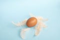 A red chicken egg lies on a blue background. Pink bird feathers are scattered on the table. Top view Royalty Free Stock Photo