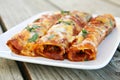 Red Chicken Enchiladas Royalty Free Stock Photo