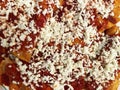 Red Chicken Enchiladas Topped With Feta Cheese Royalty Free Stock Photo