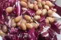 red chicory with beans well dressed Royalty Free Stock Photo