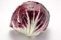 Red chicory from Chioggia Royalty Free Stock Photo