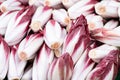 Red chicory on a farmers market, chicory, italian lettuce rossa, di treviso background Royalty Free Stock Photo