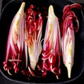 Red chicory radicchio fresh and ready to be grilled Royalty Free Stock Photo