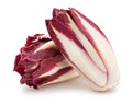 Red chicory Royalty Free Stock Photo