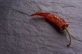 Lonely Dried Red Chilli Peppers