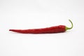 Red chile pepper