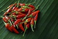 Red chile peppers