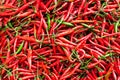 Red chili background