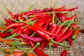 Red chili in basket