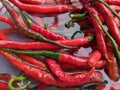 red chili that is being washed before processing