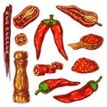 Red chili or cayenne pepper sketch icons Royalty Free Stock Photo