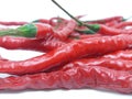 Red chili and curly Royalty Free Stock Photo
