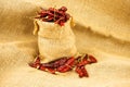 Red chili Royalty Free Stock Photo