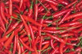 Red Chili food ingredient close up Texture background