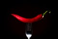 Red chili on a fork Royalty Free Stock Photo