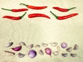 Red chili, garlic and onion Royalty Free Stock Photo
