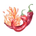 Red chili hot peppers on fire watercolor illustration isolated on white background. Royalty Free Stock Photo