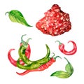 Red chili hot peppers and green leaves watercolor illustration isolated on white. Royalty Free Stock Photo