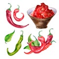 Red chili hot peppers and green leaves watercolor illustration isolated on white. Royalty Free Stock Photo