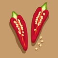 Red chili illustration and