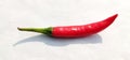 A red chili isolated on a white background with reflected shadow.Single chili selected focus with copy space for text