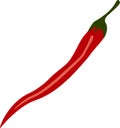 Red chili paper. Chili as vegetable and fruit vector. Red hot chili and plant Royalty Free Stock Photo