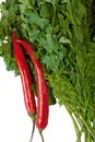 Red chili, parsley, dill