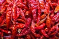 Red chili pattern Royalty Free Stock Photo