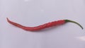 Red chili pepers extra hot spicy