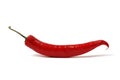 Red chili pepper Royalty Free Stock Photo