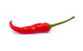 Red chili pepper