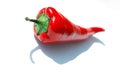 Red chili pepper Royalty Free Stock Photo