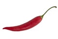 Red chili pepper