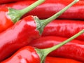 Red Chili Pepper