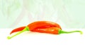 Red chili pepper in chili pepper background Royalty Free Stock Photo