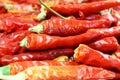 Red chili pepper closeup