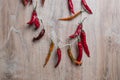 Red chili pepper. Dry hot peppers on a wooden background. Bunch of dry red chili peppers. Spice Royalty Free Stock Photo