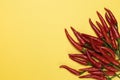 Red chili pepper on fire shape on yellow background, top view