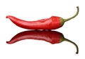 Red chili pepper with full reflection Royalty Free Stock Photo