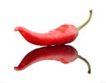 Red chili pepper with full reflection Royalty Free Stock Photo