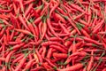 Red chili pepper heap close-up