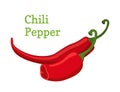 Red chili pepper, hot spicy pepper. Cartoon style. Vector illustration