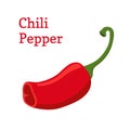 Red chili pepper, hot spicy pepper. Cartoon style. Vector illustration
