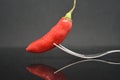 Red chili pepper ingredient spices vegetable food