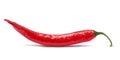 Red chili pepper isolated Royalty Free Stock Photo