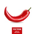 Red chili pepper stylized vector illustration