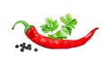 Red chili pepper with parsley leaves and black pepper isolated on white watercolor illustration