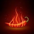 Red Chili Pepper Realistic Single Object Royalty Free Stock Photo