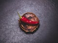 red chili pepper on a sawn tree on a black Royalty Free Stock Photo